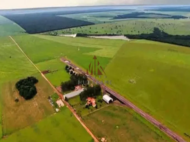FAZENDA - CANARANA - MT
