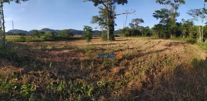 Terreno à venda, 20000 m² por R$ 389.000 - Salvaterra - Juiz de Fora/MG