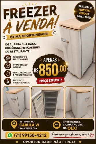 Vendo freezer vertical em perfeito estado