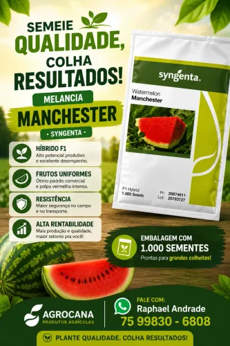 Semente de Melancia - MANCHESTER - SYNGENTA