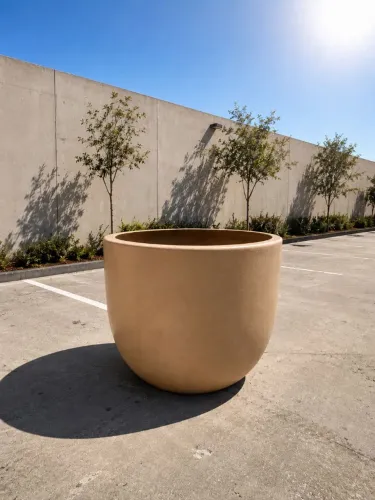 Oliveiras| Vaso grande em fibra de vidro, altura 90 cm, largura 1 metro 