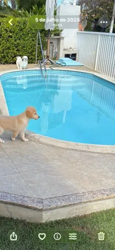 Piscina De Fibra 6,00 X 3,00 Completa (Usada)