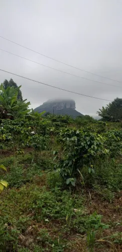 Terreno no Campo Redondo em Ibicoara/BA, Chapada Diamantina