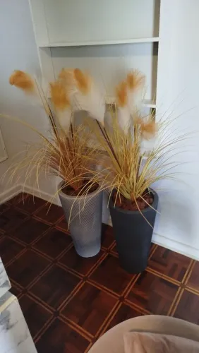 Tudo Para SPA