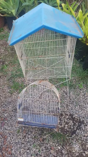 Gaiola de passarinho 