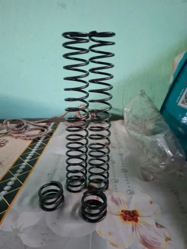 Molas Fz25 2019