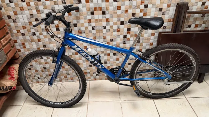 Bicicleta wendy aro 26