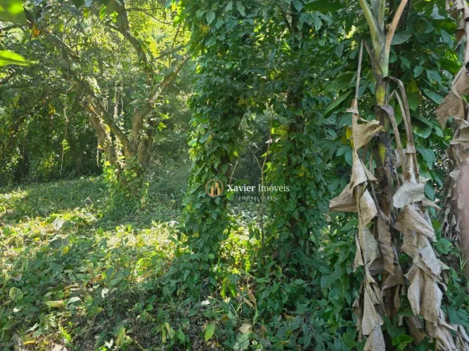 Terreno à venda, 600 m² por R$ 200.000 - Montevidéu - Nova Iguaçu/RJ