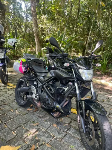 MT 03