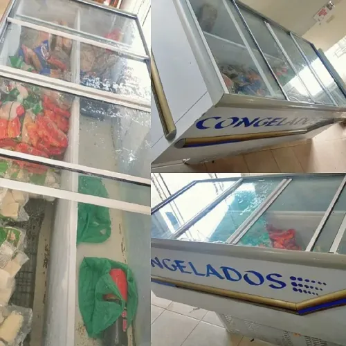 FREEZER EXPOSITOR