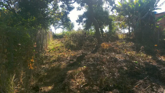 Lote em Mateus Leme 