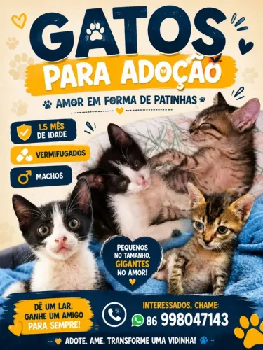 Doação em conjunto 
