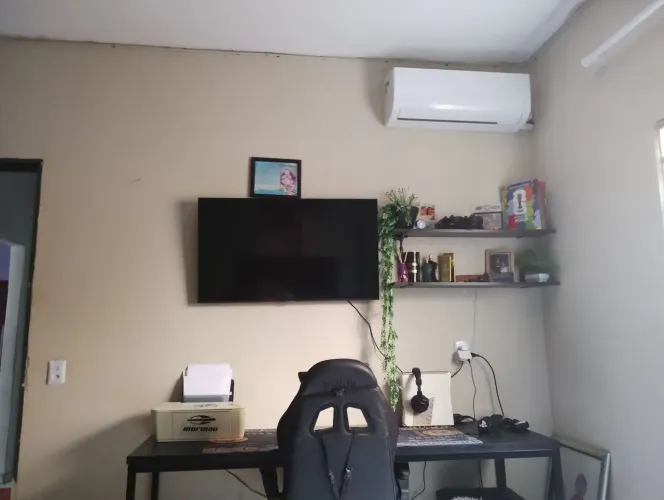 Vendo tudo que estão na foto