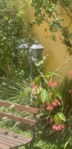 2 postes de jardim com iluminação dupla clássicos, elegantes e funcionando perfeitamente