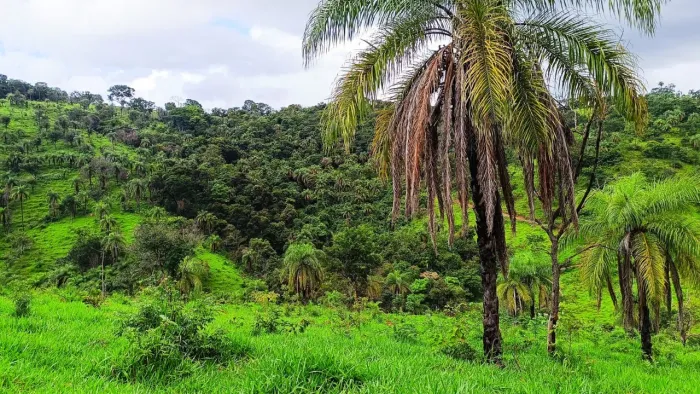 Terreno de 5 hectares em serra azul mateus leme 