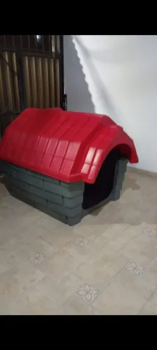 Casa Luxo de Cachorro