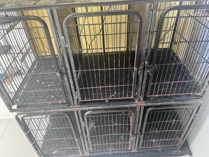 Gaiola para banho e tosa 