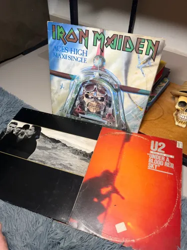 Lote disco de Vinil LPs bandas de Rock