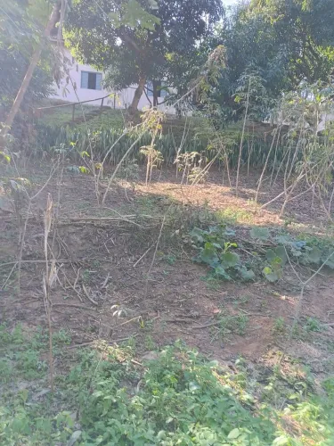 Chacára em Paraibuna seu cantinho de Paz.