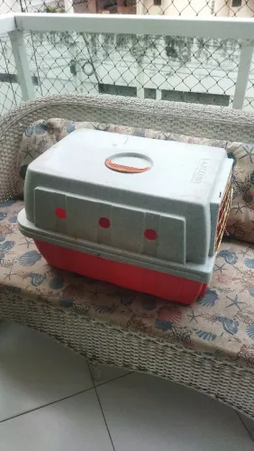 Caixa grande P gato ou cachorro de pequeno porte.