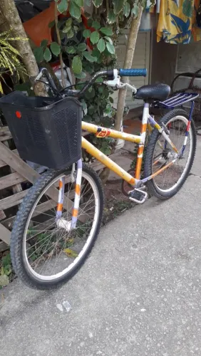 Bicicleta aro29