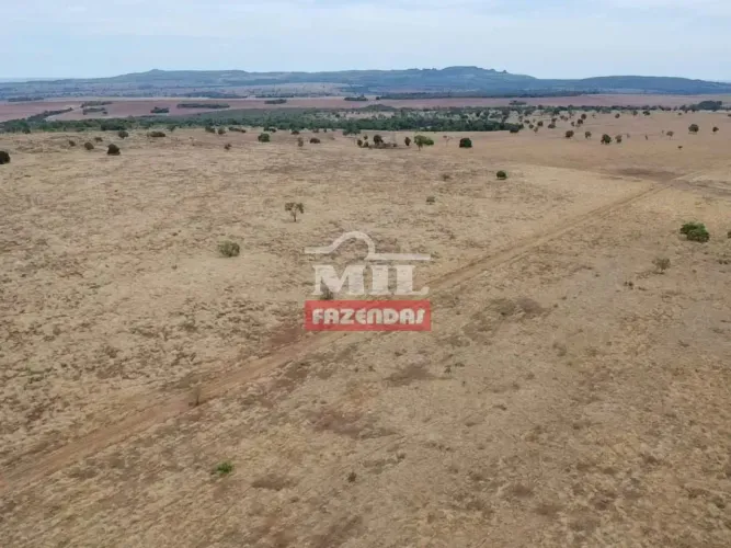 Fazenda 429 alqueires (2.076 hectares) Doverlândia - Go