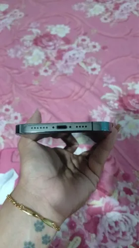 iPhone 12 Pro Max 256g