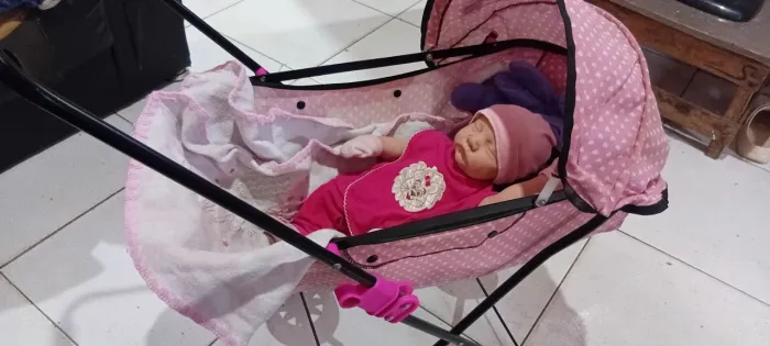 Brinquedo carrinho com bebê reborn
