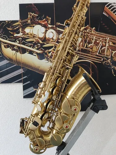 Saxofone Alto Dolphin Belíssimo Envio para Todo Brasil