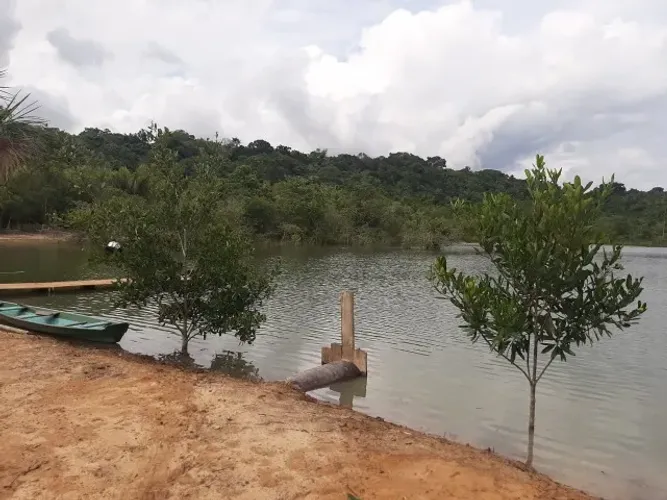 Fazenda 1, lote Plaino, desmatado , proximo da guarita