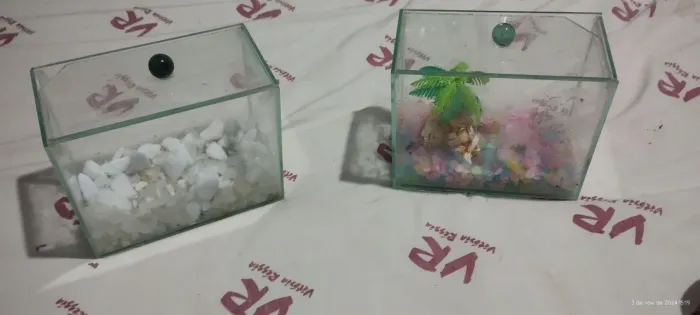 Aquário de vidro para decoração