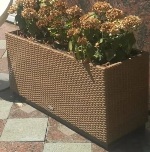 Vazos de plantas e cestode roupa a partir de 280