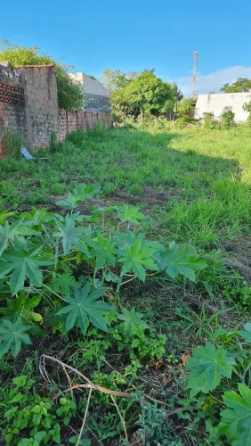 INVISTA NO SEU FUTURO: Terreno Perfeito para Seu Projeto dos Sonhos!