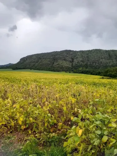 Fazenda a venda, na Região Natividade Tocantins!!!