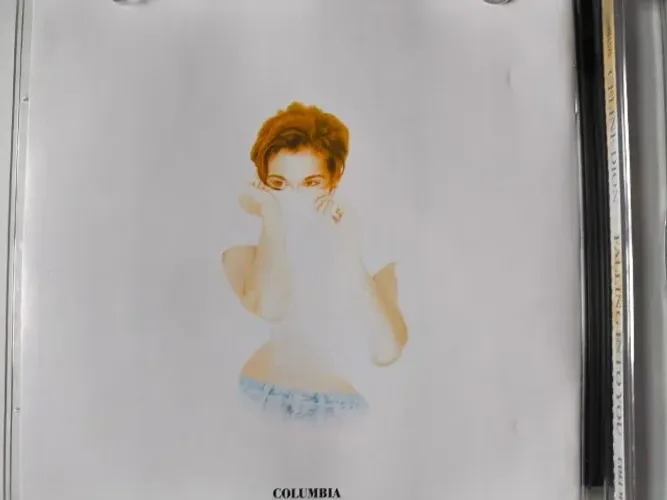 CD FALLING INTO YOU Celine Dion