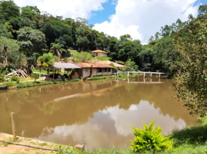 Sítio 30 Alqueires sendo 20 de pinus,2.5 de eucalipto 1.5 de lazer,acude,pasto,casas e 6 d