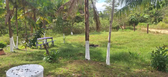 Vendo um lote