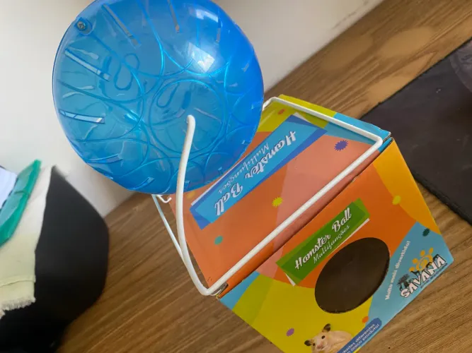 Bola de hamster 