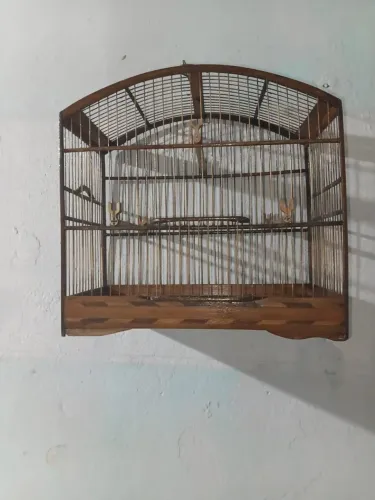 Gaiola