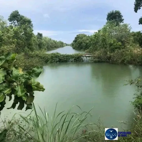 Fazenda à Venda em Formoso do Araguaia -TO | Dupla Aptidão | 1.880 Hectares