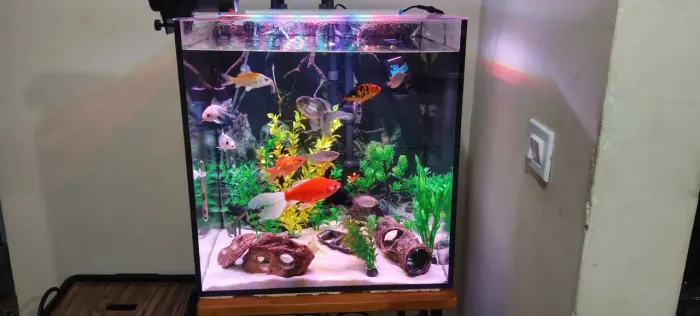 Aquário de 100L