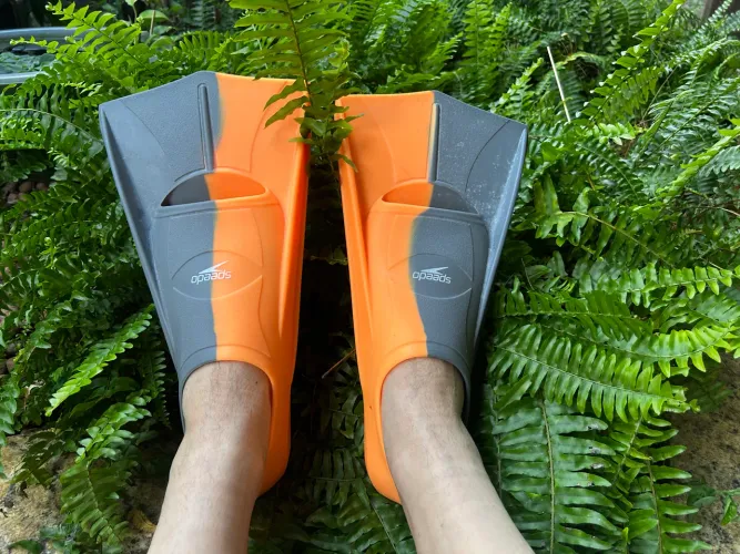 Nadadeira / Pé de Pato Speedo Dual Training Fin - Tamanho 39 - USADO