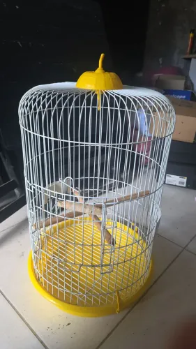 Excelente Gaiola para Pássaros