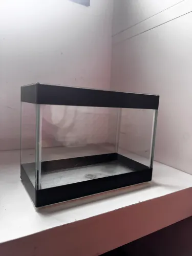 Kit Aquário 15L + Beteira + Luminária + Aquecedor + Decorações