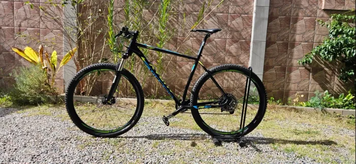 Audax Auge 555 - XL