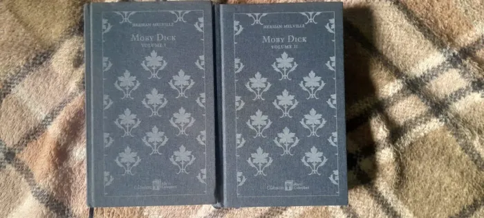 Livros Moby dick 2 volumes