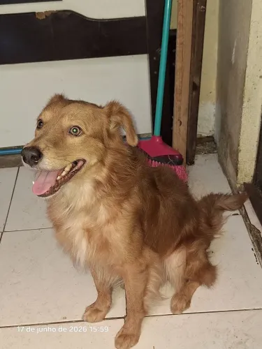 Doação