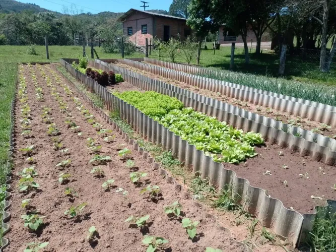 Ótimo sitio com 7 hectares terras férteis casa galpão arroioi em Morungava - Gravataí - RS