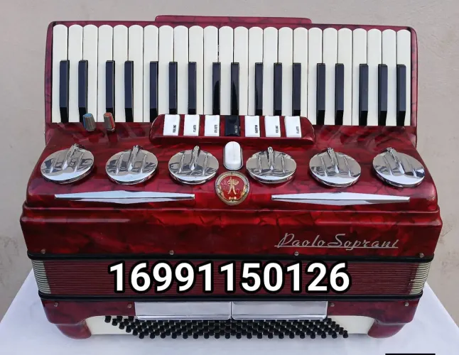 Acordeon Sanfona Paolo Soprani de 120 baixos *