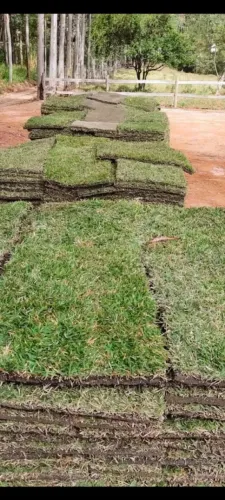 Grama esmeraldas, entregue direto na sua obra
